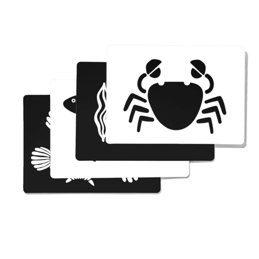 Black and White Cards by Lovevery