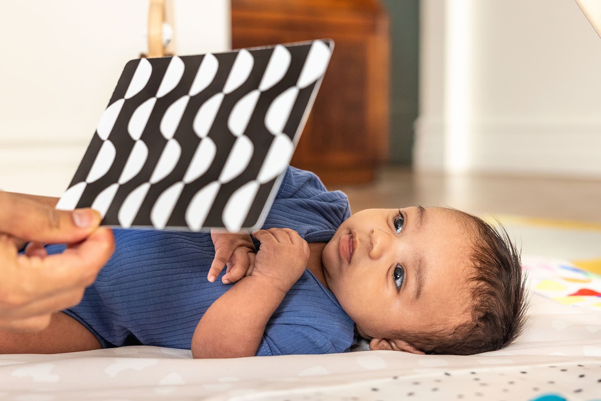 Lovevery Complex Black and White Cards